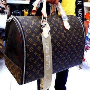 Louis Vuitton dog carrying case